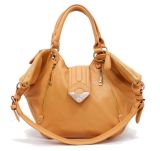 Fashion Handbag (ZE026)