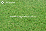 High Quality Artificial Grass for Tennis Field (QDS-4S-20)