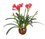 Artificial Flowers of Orchid 80cm Gu-Bj-814-24-3-3