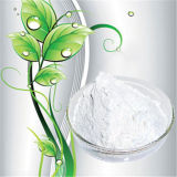 99% High Purity and Good Quality Pharmaceutical Intermediates Esomeprazole Magnesium