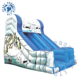 Giant Inflatable Slide (PLG31-027)