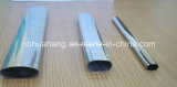 Whole Oval Stainless Steel Pipes for Industry Use