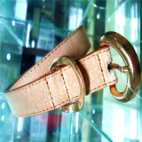 Fashion Pigskin Newest Belt for Garment (HJ0050)