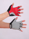QS-0069 Micro Fiber Fitness Gloves