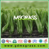 High Quality Multi-Purpose Artificial Turf Grass for Sports (JSW-B25L20EG)