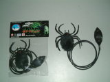 Spider Toy (ID61038P)