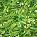 Chinese New Wholeale Price Okra