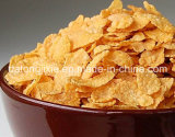 Corn Flakes Manufacturing Plant