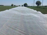 China Factory HDPE Plastic Agriculture Green Sun Shade Net