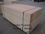 Poplar Plywood From China Factory Poplar Plywood