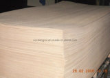 Electrical Insulation Paper