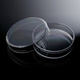 150X15mm Petri Dish
