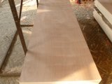Door Size Plywood for Door Manufacture DSP-001