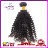 Indian Human Hair Wholesale/Tangle Free Kinky Curly Hair Products