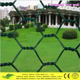 PVC and Galvanized Hexagonal Wire Netting