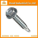 Head Hexagonal Stainless Steel 304/410/316 Fasteners Screws