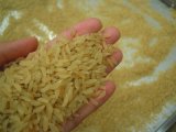 Instant Rice Nutritional Rice Food Processing Line