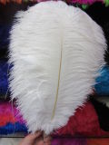 Wholesale Ostrich Feather for Wedding Table Centerpiece, Feather Centerpiece, White Ostrich Feathers for Wedding Table Decoration