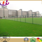 Chain Link Fence Sport Fence Netting