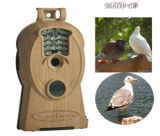 Bolyguard No Motion Blur Bird Watching Binoculars Telescope, Digital Hunting Trail Scouting Game Camera with Color Day & Night 10MP Image and 720p HD Video