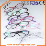 Kid's Acetate Eyewear Glasses (1061)