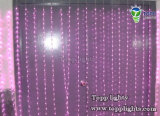Purple LED Curtain Light (TP-CLD-01)