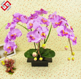 Artificial DIY Newly Design Flower Arrangement Home Decor Butterfly Orchid