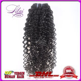 7A Grade Hair Extension/Afro Curl Brazilian Human Hair Weaving