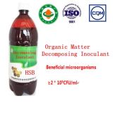 Seaweed Microbial Organic Inoculant for Fermenting Organic Matter