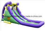 Inflatable Dolphin Water Slide with Pool (AIS0016)