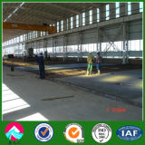 ISO & CE Wide Span Light Frame Steel Structure Building
