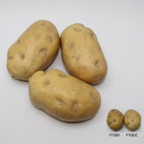 Artificial Vegetable, Imitative Polyfoam Potato (PTH06-1-0802)