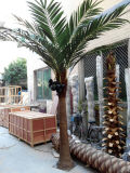 Hot Sale 8f Artificial Coconut Tree for Indoor Decoration