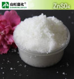 Zinc Sulphate Monohydrate Fertilizer Znso4. H2O