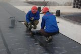Sbs APP Bitumen Waterproof Membrane for Roofs, Basements, Underground