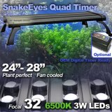 Snakeeyes LED Quad 24