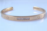 2012 Hot Stainless Steel Bangles (HBNB00020)