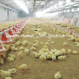 Full Set Automatic Poultry Feeders and Drinkers for Chicken