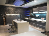 Modern Design Lacquer Series Kitchen Cabinet (BR-L003)