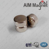 N42 D12X5mm Rare Earth Magnet