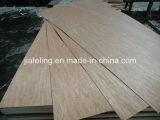 BB/CC Grade Bintangor Plywood, Poplar Core Bintangor Plywood