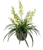 Artificial Flowers of Orchid 65cm Gu-Bj-813-60-5-2