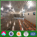 Environment Control Prefabricated Steel Structure Poultry Shed