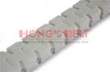 Side Flexing Plastic Chains Belt with FDA Certificate (HS-F54)