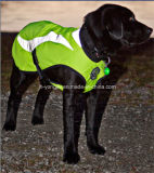 Reflective Safety Fluorescence Pet Products, Dog Vests /Ports Gloves