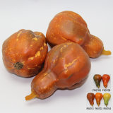 Artificial Vegetable, Imitative Polyfoam Pumpkin (PKH03-2-0701)