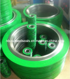 Spiral Wound Gaskets with Outer Ring, Outer Ring Coating with Electrostatic Spray