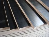High Quality WBP Plywood /Timber
