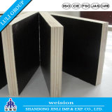 Finger Joint Core Film Faced Plywood for Nigeria
