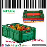 Foldable Plastic Vegetable and Fruit Crate